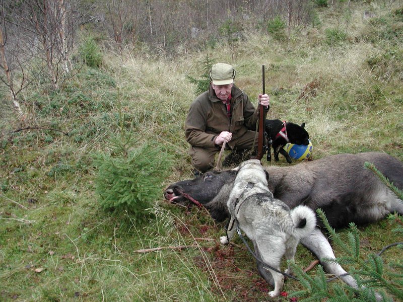 EPSN1021 (15).JPG - Jostein med både dixi og Toto ved oksen